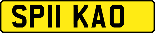 SP11KAO