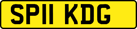 SP11KDG