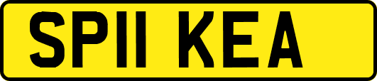 SP11KEA