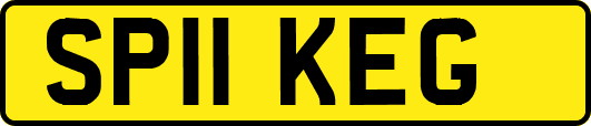 SP11KEG