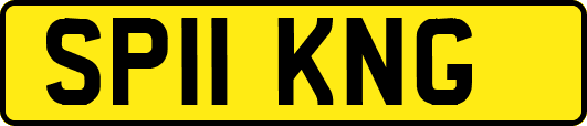 SP11KNG