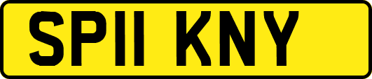 SP11KNY