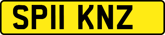 SP11KNZ