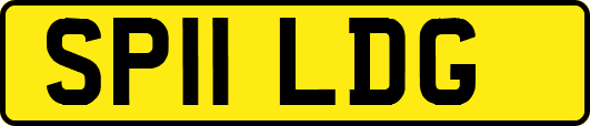 SP11LDG