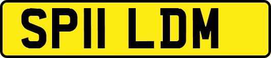 SP11LDM