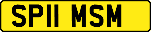 SP11MSM