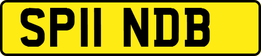 SP11NDB