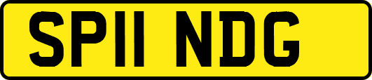SP11NDG