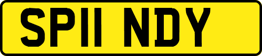 SP11NDY