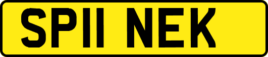 SP11NEK