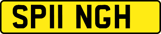 SP11NGH