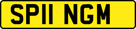 SP11NGM
