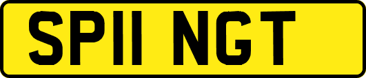 SP11NGT