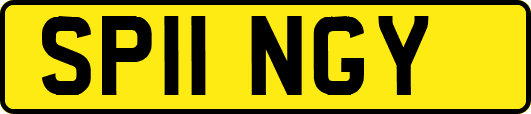 SP11NGY