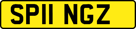 SP11NGZ