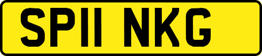 SP11NKG