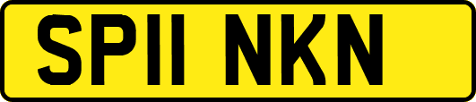 SP11NKN