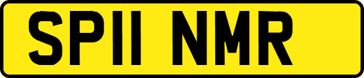 SP11NMR