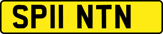 SP11NTN