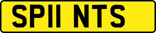 SP11NTS