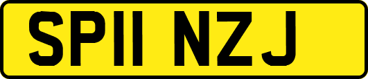 SP11NZJ