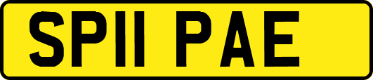 SP11PAE