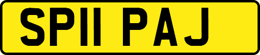 SP11PAJ