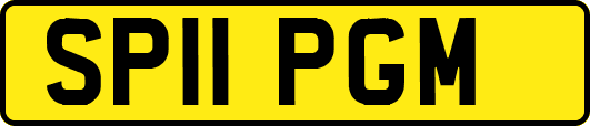 SP11PGM