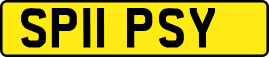 SP11PSY