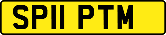 SP11PTM