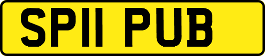 SP11PUB