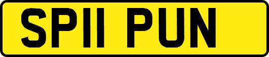 SP11PUN