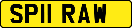 SP11RAW