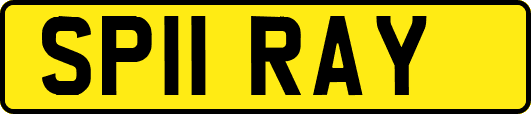 SP11RAY