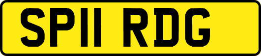SP11RDG
