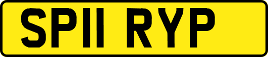 SP11RYP