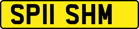 SP11SHM