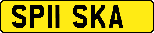 SP11SKA