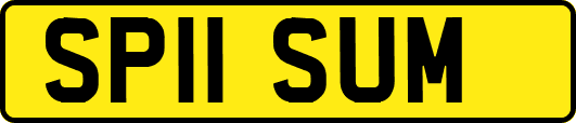 SP11SUM