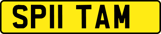 SP11TAM