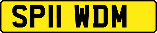 SP11WDM
