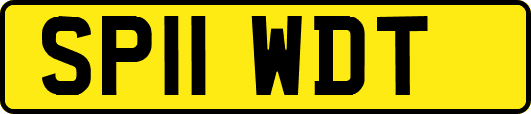 SP11WDT