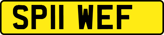 SP11WEF