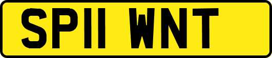 SP11WNT