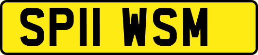 SP11WSM