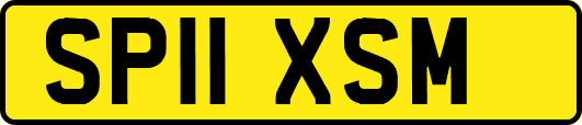 SP11XSM