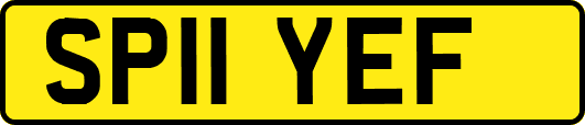 SP11YEF