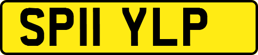 SP11YLP