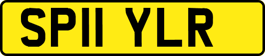 SP11YLR