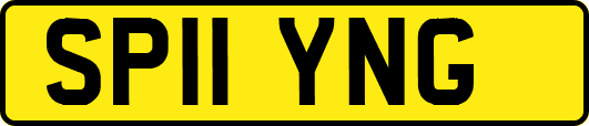 SP11YNG